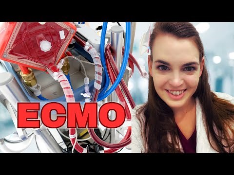 ICU Doctor explains ECMO || Life Support