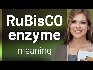 Understanding the RuBisCO Enzyme: A Key Player in Photosynthesis