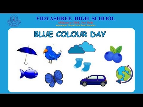 Blue Day @ Kindergarten - VIDYASHREE HIGH SCHOOL
