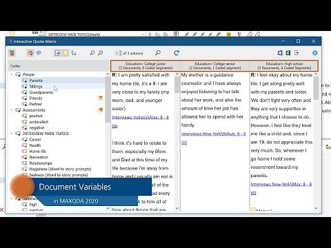 Document Variables in MAXQDA 2020
