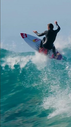 It’s fine if they drop in on you 🥹 #surf #dolphin