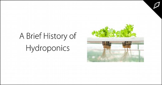 A Brief History of Hydroponics