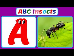 ABC Insects for kids | Insect Alphabet | Learn A - Z Insect Names and Fun Facts