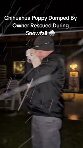 Coda missing from Sanborn has been secured . Coda took off Sunday around 8am while staying with a friend of his dad’s . Coda was spotted several times on Hoover Road Raymond Road Bear Road in cornfields in backyards she just kept running . Her dad was heading out of town and he turned around and drove back to search for his sweet girl coda. He spotted Coda several times, but she would look at him and continue to run. we set up several feeding stations with live cameras throughout the area, and c