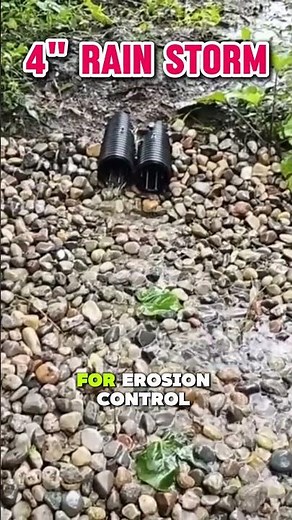 Transforming a Swampy Yard with an Outdoor Sump Pump System