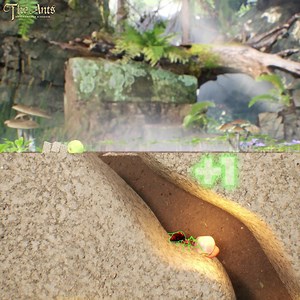 Redeem Gift Code: THEANTS777 | The Ants: Underground Kingdom