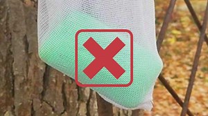 VERIFY: No scientific evidence Irish Spring soap will keep bugs away