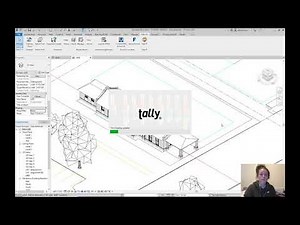Tally Tutorial