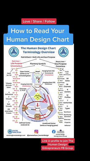 Understanding How to Read Your Human Design Chart