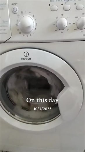 Indesit Washing Machine History: March 10