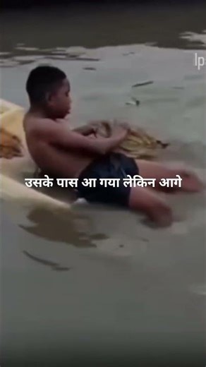 Crocodile came for cuddles? #viralvideo #wildlife#reels #trending#shocking #news #viralreels#love