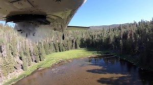 40K views · 454 reactions |  FLYING FISH: DWR stocked around 200 lakes across the state with fish this week ... BY AIR!  These high-elevation lakes aren't otherwise accessible.  : Utah Division of Wildlife Resources | KUTV 2News | Facebook