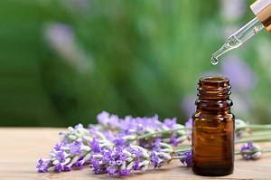How to Make Essential Oils: 5 Complete Methods | LoveToKnow