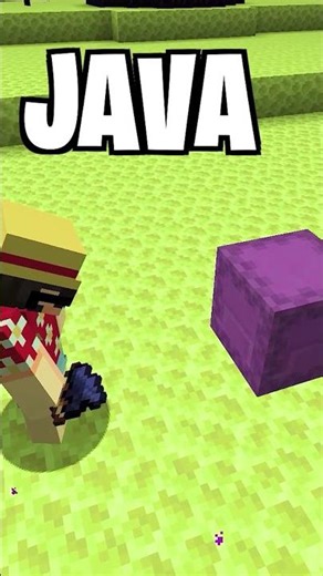 250 Java vs Bedrock: Big Differences You Need to Know in Minecraft! ‪@Bubuplayz‬