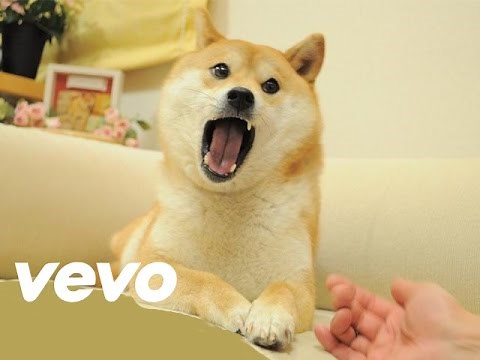 Official Doge Music Video ft. Pajidsui