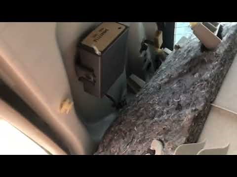 2002-2006 Toyota Camry Keyless Entry Control Module Receiver Location