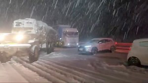 1.2M views · 4.6K reactions | *N3 Toll Route I Traffic Alert I...