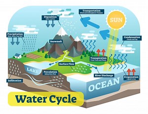 The natural water cycle is the movement of water around the world.