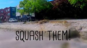 9.8K views · 48 reactions | If you love tent caterpillars, turn away now. If you enjoy your garden and want to keep your trees from being devoured by the pesky army of worms - you've come to the right place! Check out the video to learn four ways you can keep tent caterpillars at bay. | Sudbury Spaces | Facebook