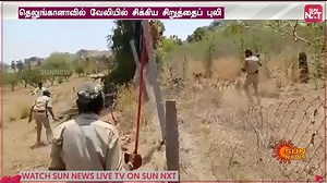 34K views · 328 reactions | Leopard attacked forest officers in...