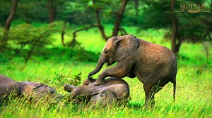 2.1K views · 121 reactions | "Having spent the past few months in...