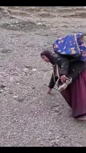 7.6K views · 176 reactions | የእናቱ ውለታ ላለበት | Addis Express Media | Facebook