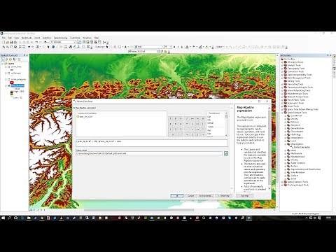 ArcGIS Raster Calculator
