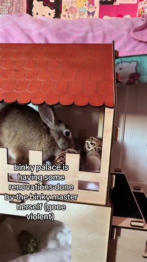 BUNNY BUNNY 🐰 💖 (@ittybittybettybunny)’s videos with original sound - BUNNY BUNNY 🐰 💖