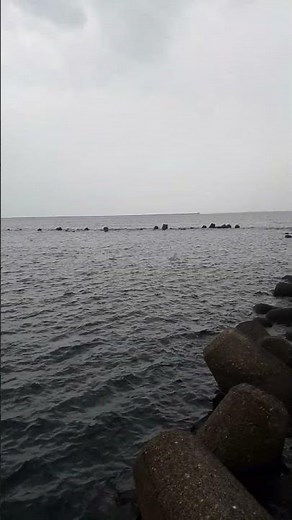 Weave Block Japan | Coastal Engineering, Shoreline Protection, and Stunning Sea Views