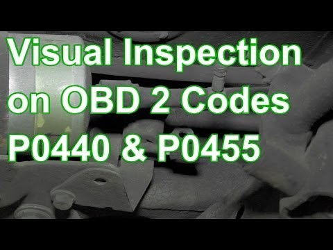 How to Diagnose Codes P0440 or P0455 Using Visual Inspection