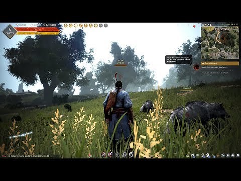 Black Desert Gameplay (PC HD) [1080p60FPS]