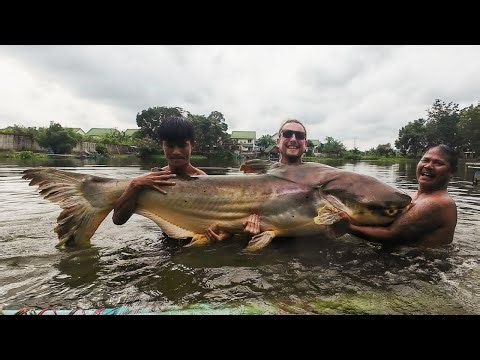 I Hooked Into Something HUGE at Palm Tree Lagoon!