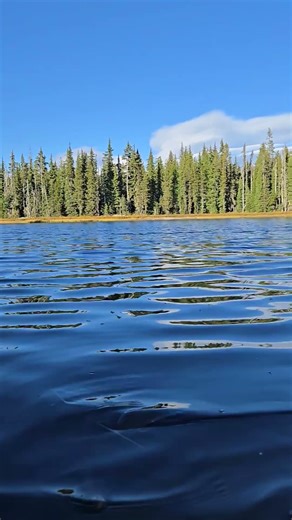 Peaceful Ripples on a Lake