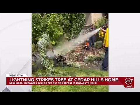 Cedar Hills lightning strike tree, catches on fire