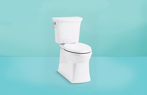 After 25 Years of Testing Toilets, These Are My Top Picks for Every Bathroom