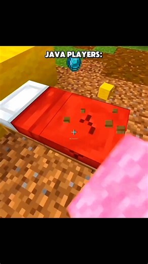 JAVA Players vs BEDROCK Players!!