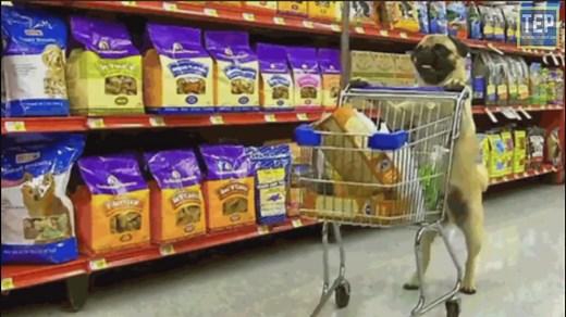 How does Pillow Block Bearing work? | Types of Pillow Block Bearings