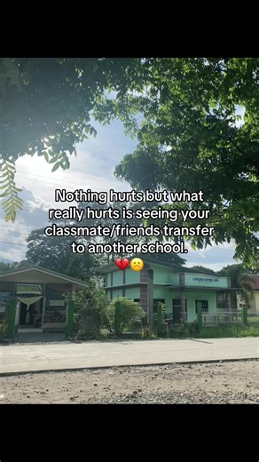 Coping with Friends Transferring Schools