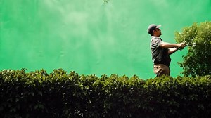 Download A landscaper in work clothes, trimming bushes. Green screen backdrop. Natural, diffused lighting to mimic outdoor conditions. for free