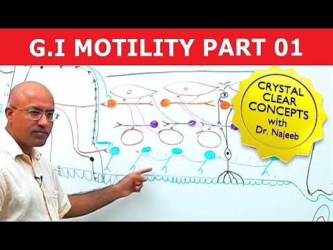 G I Motility | Gastrointestinal | Part 1