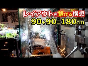 レイアウトを繋げる！？水槽立ち上げの構想とセッティング