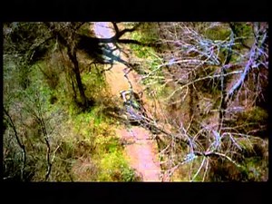 BLAIR WITCH 2 TRAILER