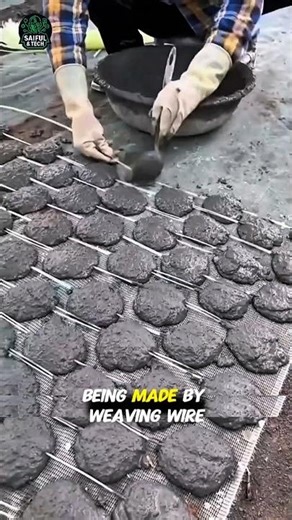 Korean Shellfish Farming Method That Shocked the World! | Hidden Ocean Technique Revealed #viral