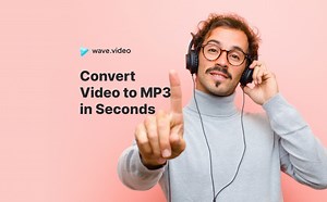 Video to MP3 Converter | Wave.video
