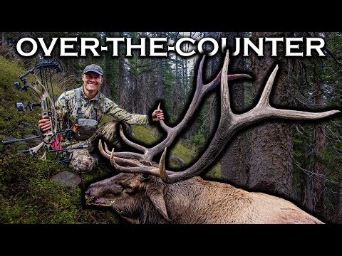 COLORADO BULL with a BOW! (12 Miles DEEP Solo on PUBLIC LAND)
