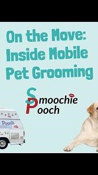 On the Move: Inside Mobile Pet Grooming