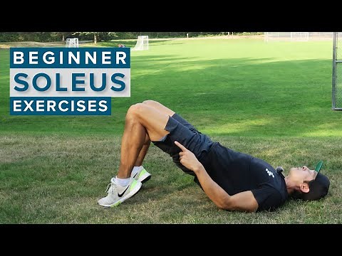 4 Beginner Soleus Muscle Strengthening Exercises