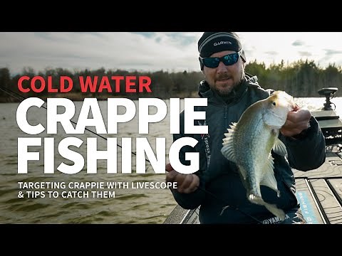 CRAPPIE Fishing (Targeting BIG Crappie with LIVESCOPE!)