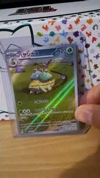 Grotle AR - Wild Force - 2024 - Pokemon TCG