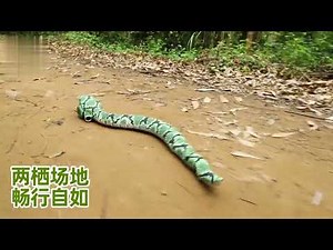 2 in 1 land and swim mode Amphibious Python Remote Control Snake Play Toys